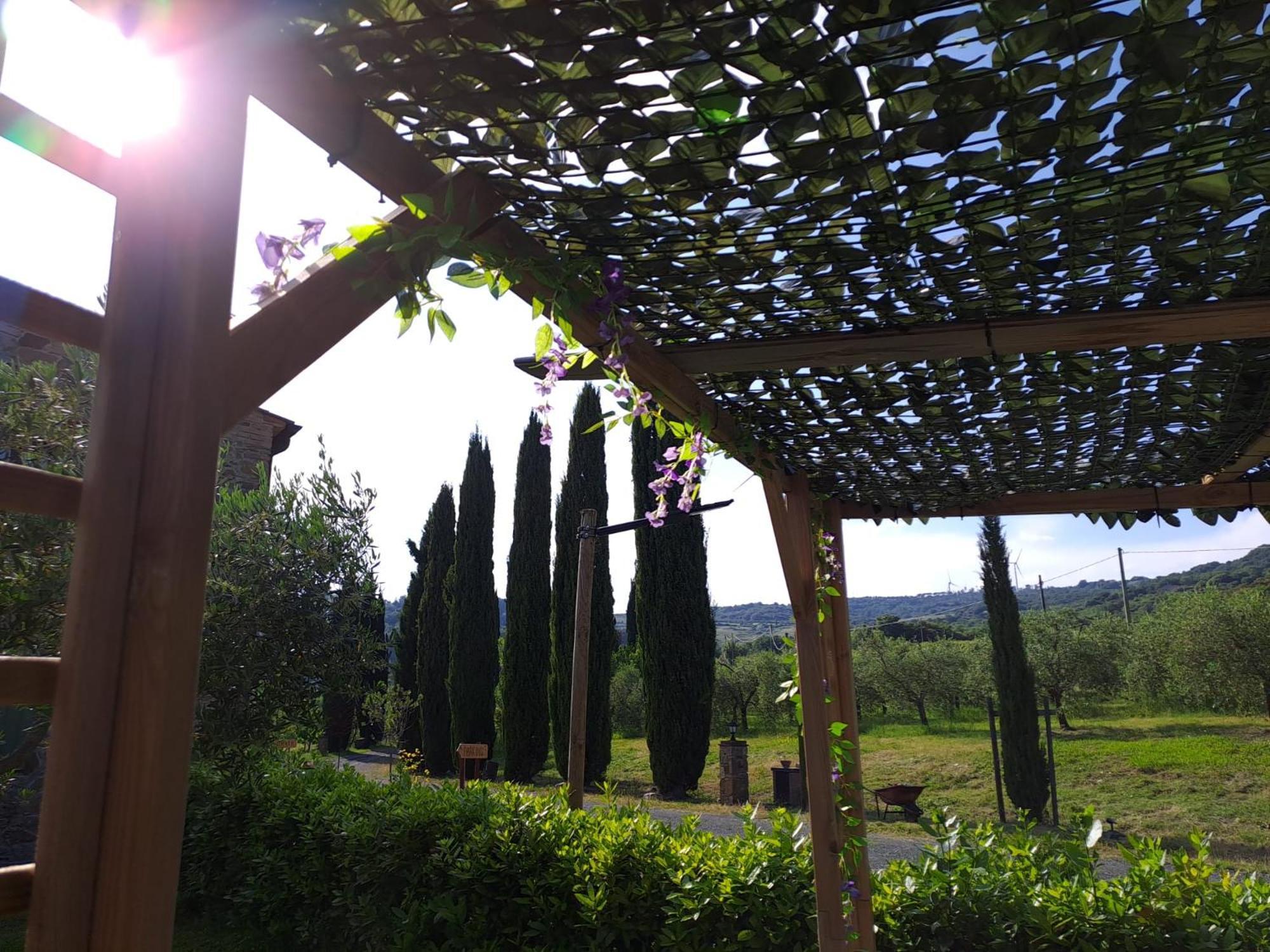 Podere Oliveta Монтекатини-Валь-ди-Чечина Экстерьер фото
